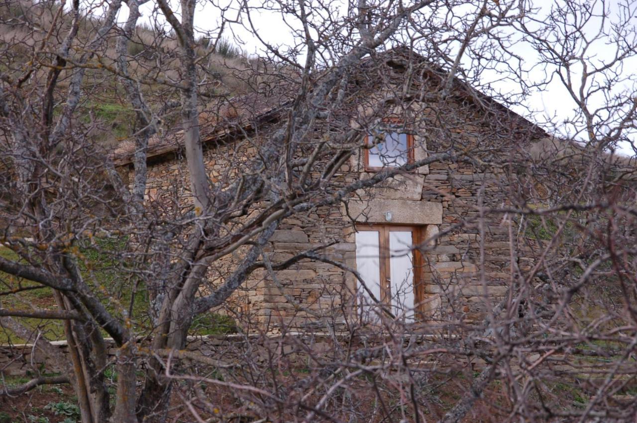 Quinta Da Alagoa Villa Santa Maria de Emeres Ngoại thất bức ảnh