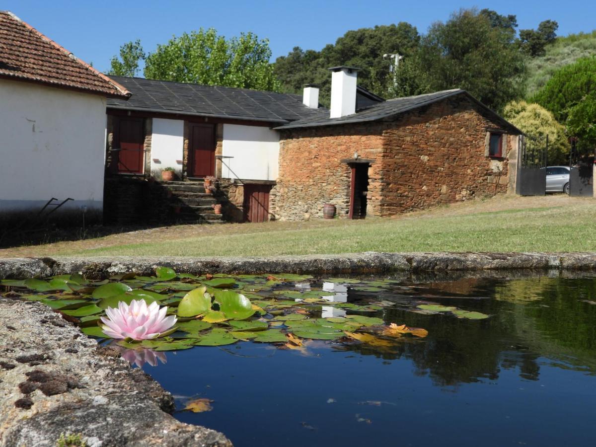 Quinta Da Alagoa Villa Santa Maria de Emeres Ngoại thất bức ảnh