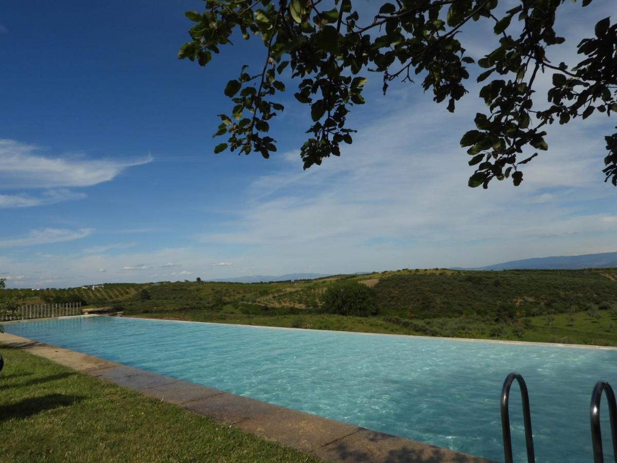 Quinta Da Alagoa Villa Santa Maria de Emeres Ngoại thất bức ảnh
