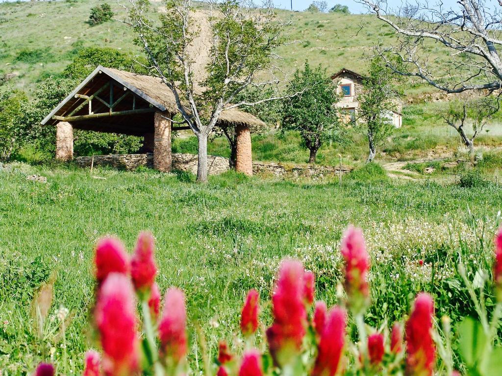 Quinta Da Alagoa Villa Santa Maria de Emeres Ngoại thất bức ảnh
