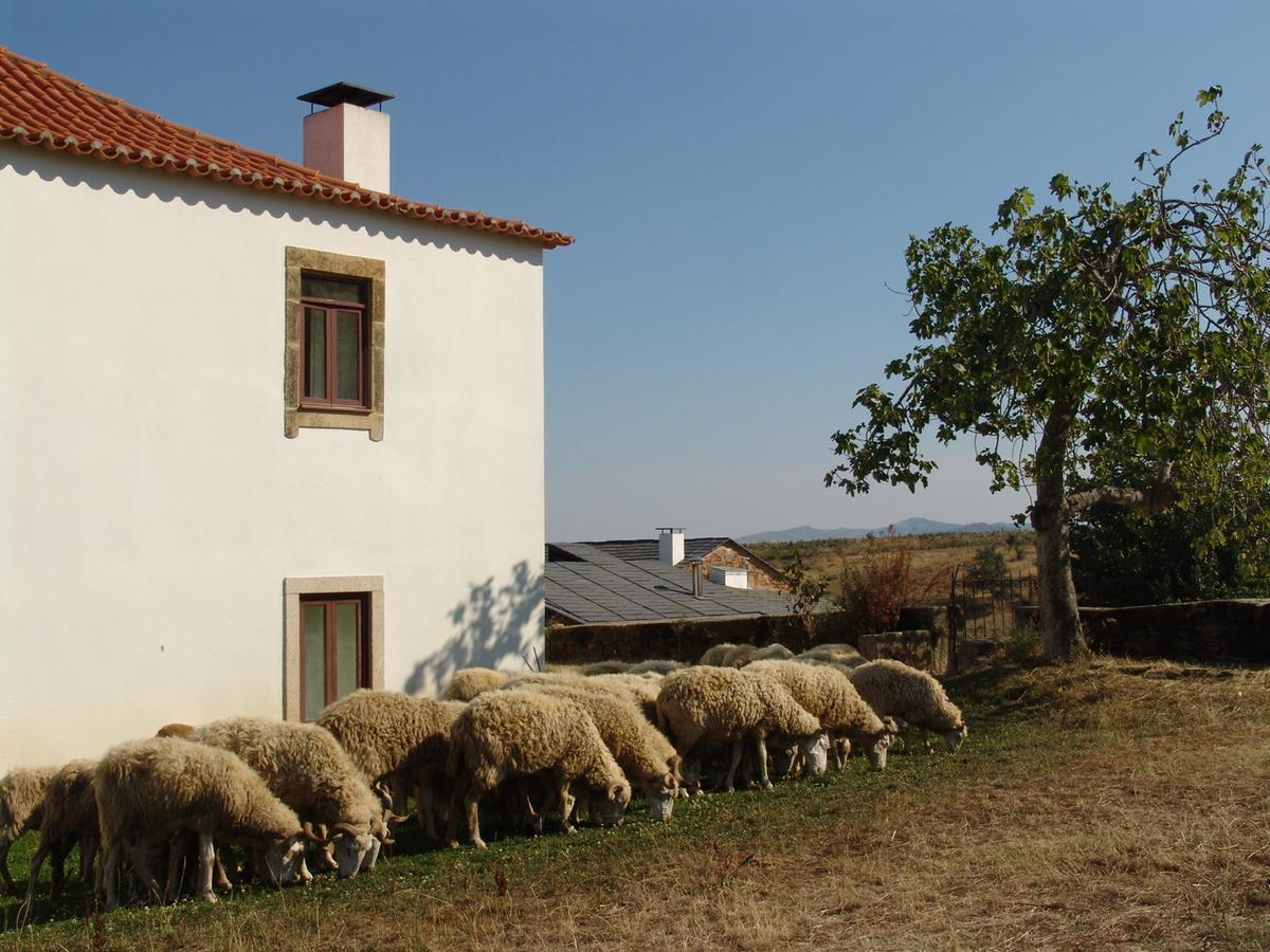 Quinta Da Alagoa Villa Santa Maria de Emeres Ngoại thất bức ảnh