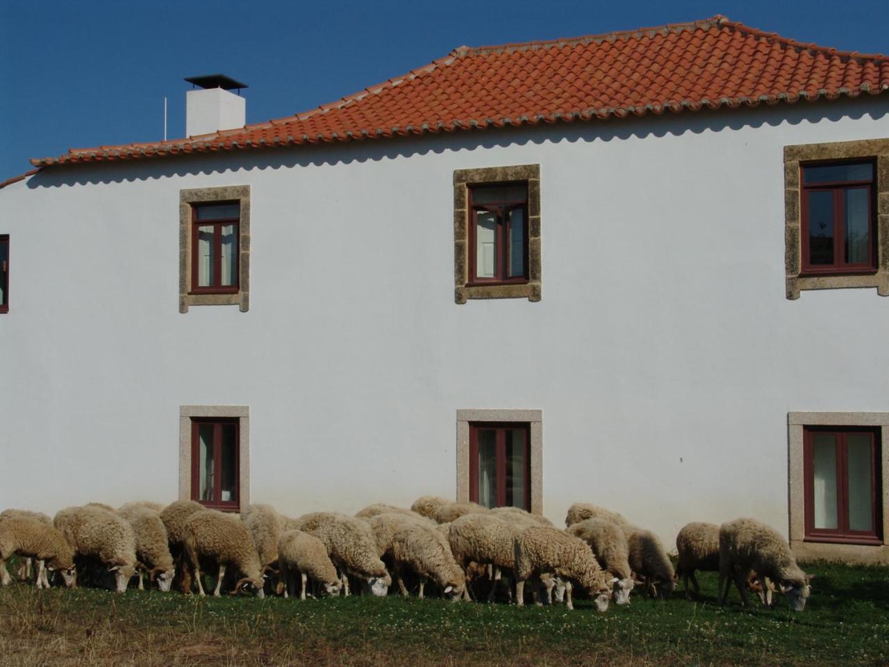 Quinta Da Alagoa Villa Santa Maria de Emeres Ngoại thất bức ảnh